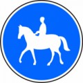 C11a