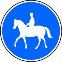 C11a